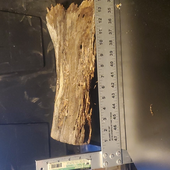 Very cool large holey wood piece for Terrarium, decor, art, crafts etc! - Picture 6 of 8